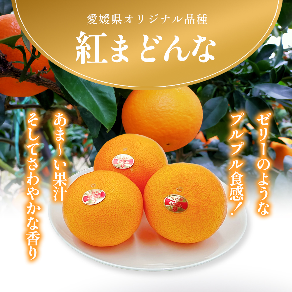【箱数限定！申込12月7日まで】紅まどんな　1箱（5～6個入り）11月下旬から順次発送 ＜期間限定 数量限定 ミカン みかん 柑橘 高級品 正規品 紅マドンナ フルーツ 果物 スイーツ おやつ 愛媛県 贈答＞