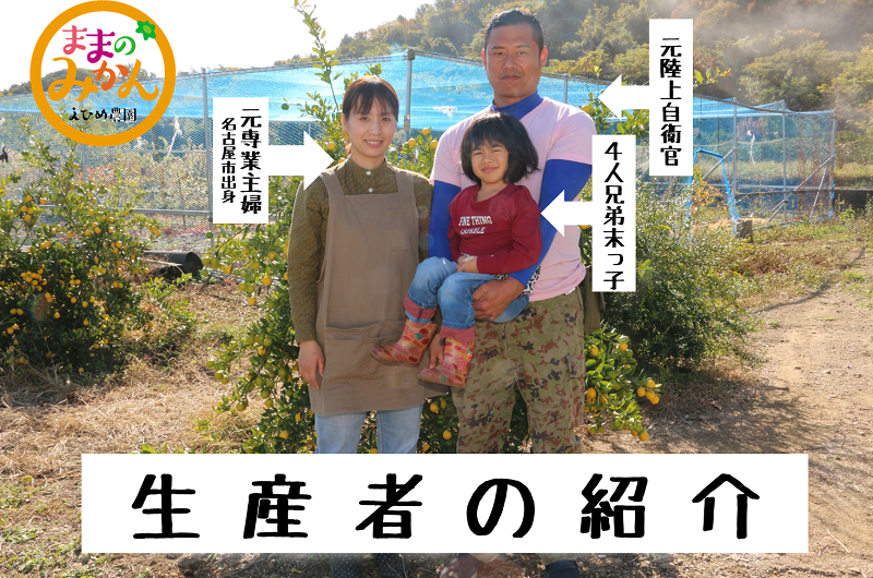 【数量限定　先行予約】訳ありはれひめサイズ不揃い約3キロ家庭用 11月上旬頃～順次発送〈産地直送　愛媛県　甘い　みかん　フルーツ〉