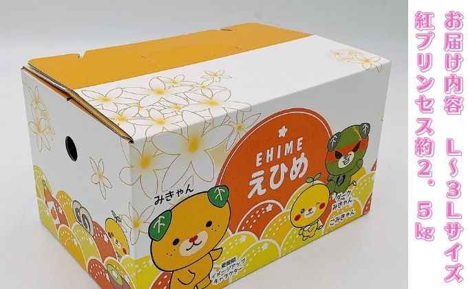 愛媛県産 紅プリンセス (愛果48号) L～3L サイズ 2.5kg バラ詰め ご家庭用 (申込は2/28まで 2025年3月から発送予定)【 JA正規品 みかん あいか 】