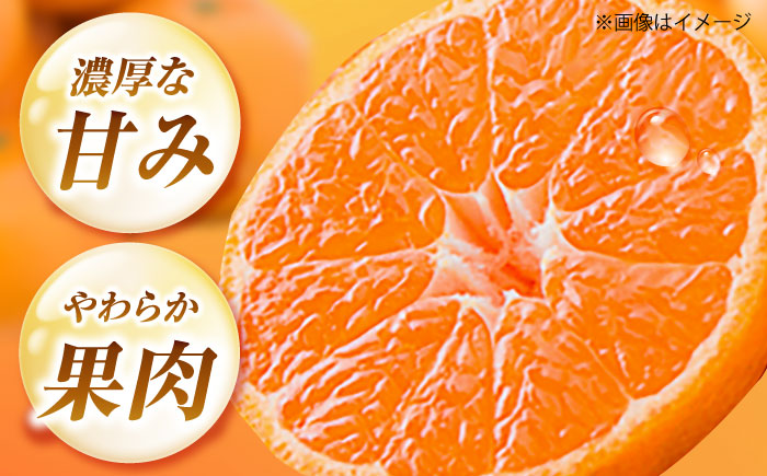 ハウスみかん 2kg 【7月下旬から9月下旬まで順次発送】 / フルーツ 果物 蜜柑 ミカン オレンジ 小玉 甘い 先行予約 2kg 愛媛 / 愛媛県砥部町/株式会社フジ・アグリフーズ [BJBI001]