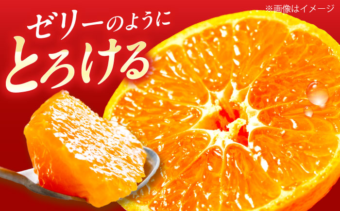 紅まどんな 1箱(5-6個入り)【11月中旬から12月下旬まで順次発送】/ フルーツ 果物 蜜柑 ミカン オレンジ 小玉 甘い 先行予約 箱 愛媛 / 愛媛県砥部町/株式会社フジ・アグリフーズ [BJBI003]