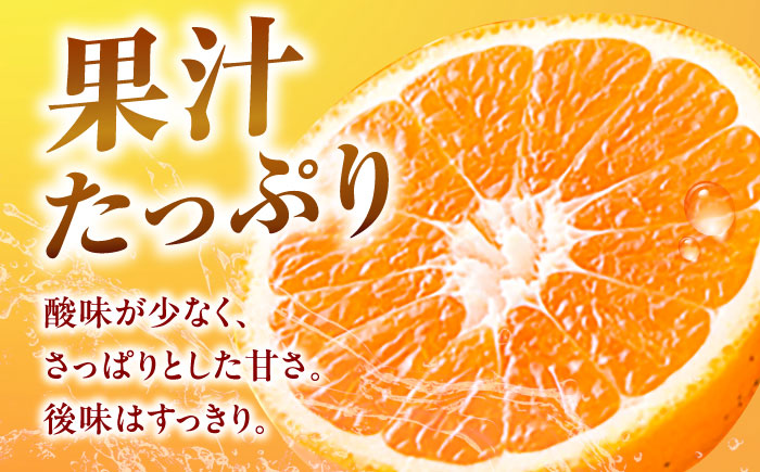 はれひめ M-2Lサイズ 約5kg【12月上旬から翌年1月上旬まで順次発送】 / フルーツ 果物 蜜柑 ミカン オレンジ 甘い 先行予約 5kg 愛媛 / 愛媛県砥部町/株式会社フジ・アグリフーズ [BJBI005]