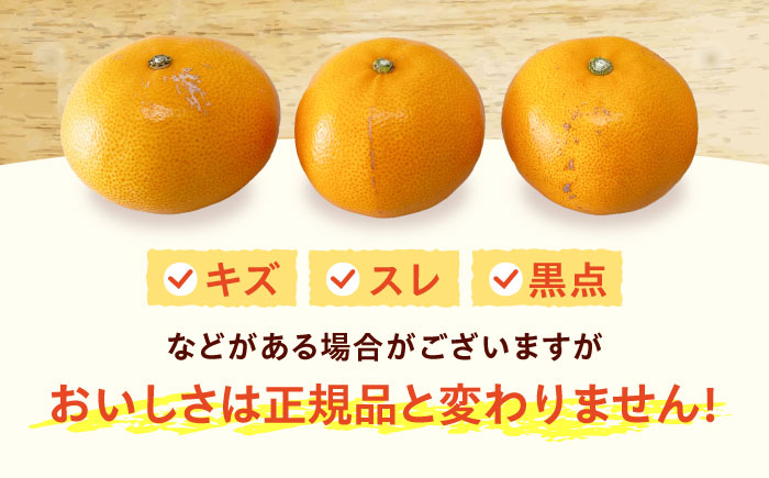 せとか L-3Lサイズ 約5kg 【2月中旬から3月中旬まで順次発送】 / フルーツ 果物 蜜柑 ミカン オレンジ 甘い 先行予約 5kg 愛媛 / 愛媛県砥部町/株式会社フジ・アグリフーズ [BJBI007]