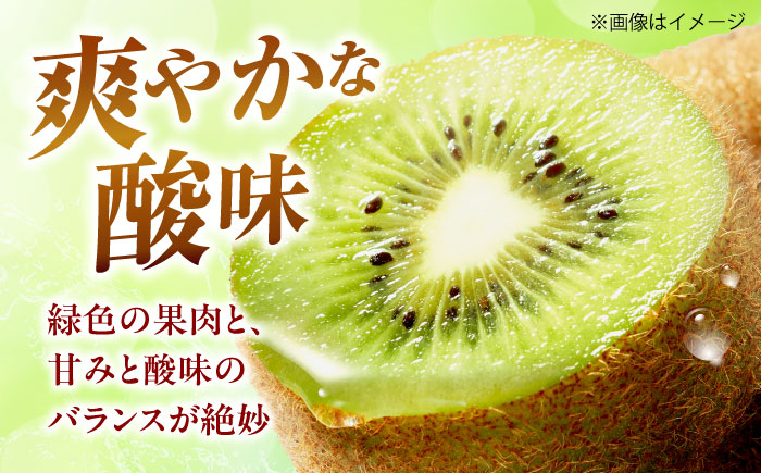 キウイフルーツ グリーンキウイ 秀品 27‐33玉 約3.5kg 【1月中旬から3月下旬まで順次発送】 / フルーツ 果物 キウイ キューイ キゥイ キュウイ グリーン 甘い 先行予約 愛媛 / 愛媛県砥部町/株式会社フジ・アグリフーズ [BJBI010]