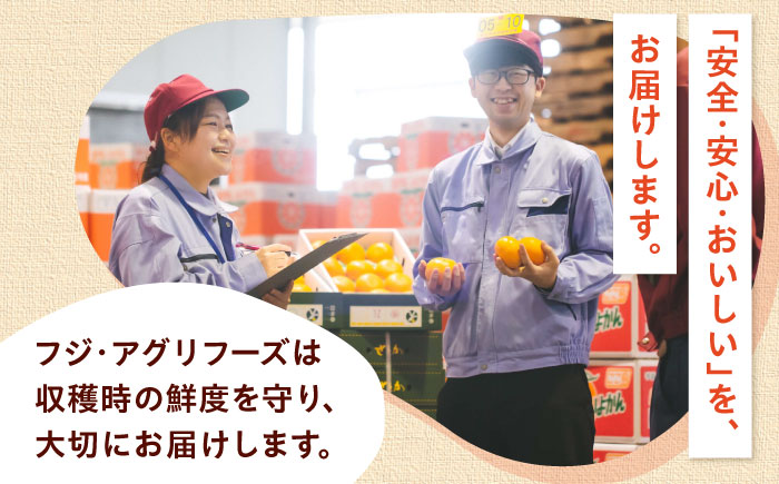 梅 七折小梅(生梅) 4kg 【5月中旬から6月下旬まで順次発送】 / 先行予約 梅干し 梅酒 梅ジュース 梅シロップ / 愛媛県砥部町/株式会社フジ・アグリフーズ [BJBI012]