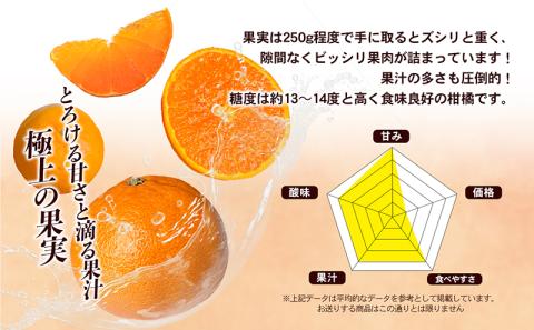 【数量限定　先行予約】せとか（青秀）3kg 3L～L JA正規品 2026年1月～順次発送＜旬 甘い みかん 蜜柑 柑橘 かんきつ 高級 ギフト 愛媛県 農協 JA直送 フルーツ 果物 くだもの スイーツ＞