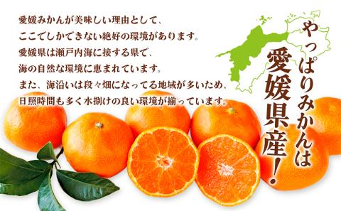 愛媛県産JA正規品 温州みかん【優】約10Kg L～Sサイズ（2024年11月～順次発送）【旬 甘い みかん 蜜柑 柑橘 かんきつ 高級 先行予約】