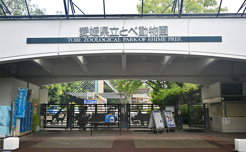 とべ動物園「年間パスポート」 チケット 入場券 優待券 大規模 ジップライン