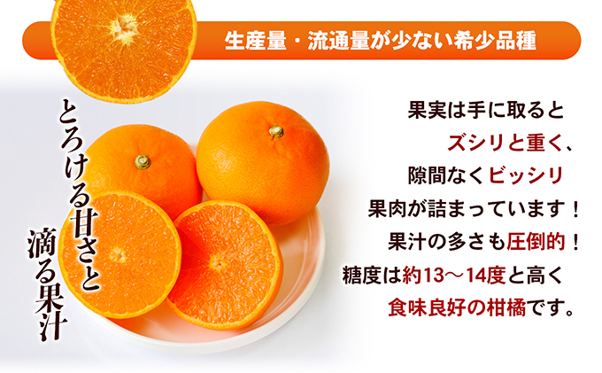 【数量限定 先行予約】愛媛県産せとか（ハウス）約2.7kg[50R0846] 【高島屋選定品】L～３Lサイズ(10～15玉) 1月下旬頃～順次発送＜ギフト 高級 甘い みかん    フルーツ＞ [No.5310-0042]