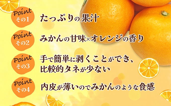 【数量限定 先行予約】愛媛県産 はれひめ 約5kg[50R0813] 【高島屋選定品】M～2L サイズ＜ギフト 甘味 濃厚 みかん フルーツ＞