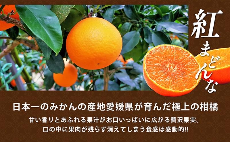 愛媛県産紅まどんな（赤秀限定）[50R0975] 【高島屋選定品】約2.7kg 赤秀3L～Lサイズ（10～15玉） 柑橘 みかん 甘い 高級品  正規品: 砥部町ANAのふるさと納税