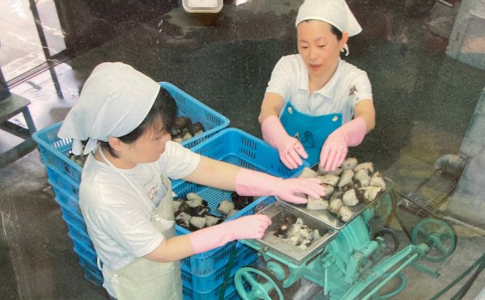 生芋こんにゃく詰め合わせ 自然 手作り 天然 昔ながら おでん 刺身 田楽 常温 おいしい 人気 ダイエット 鍋