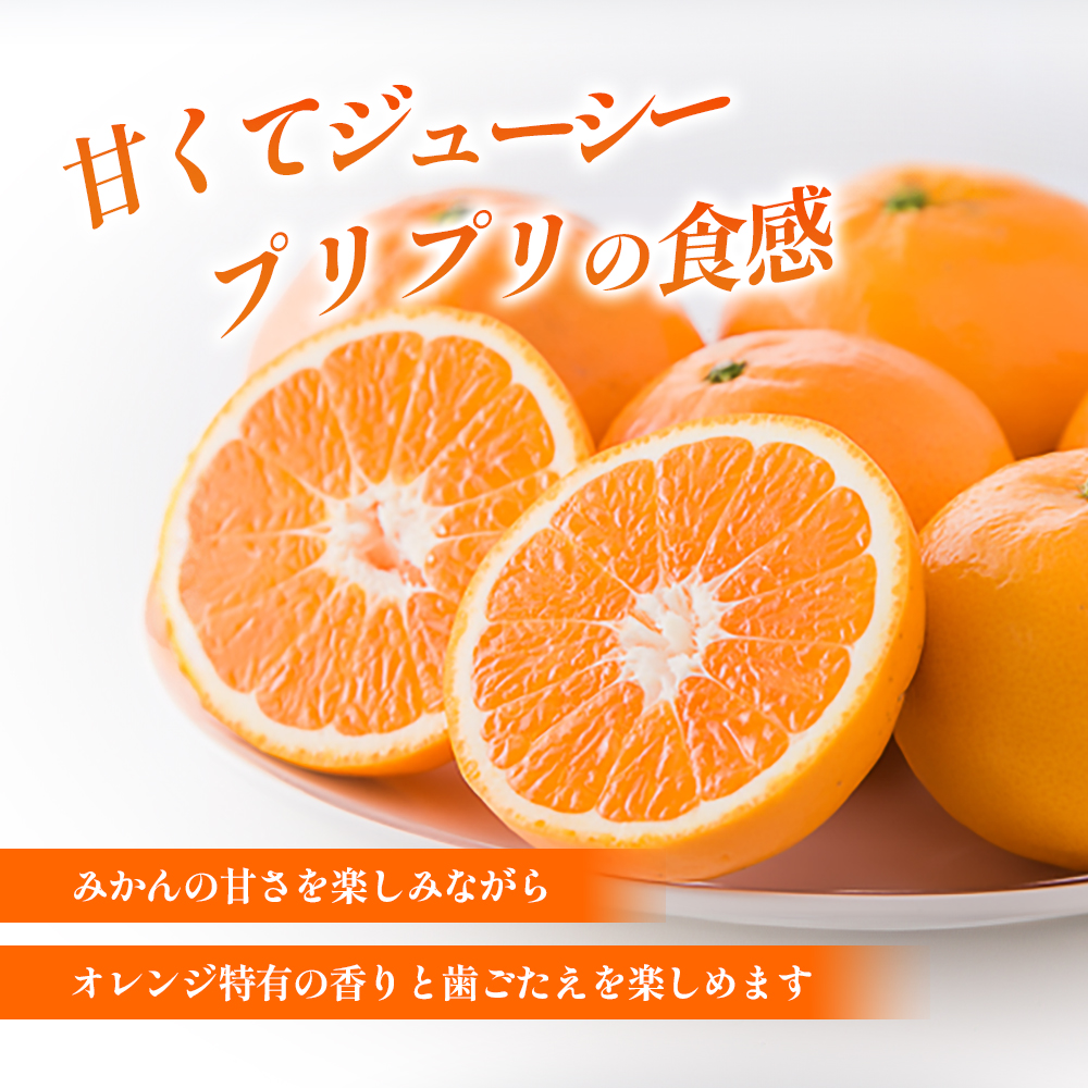 はれひめ M～2Lサイズ 約5kg 申込11月30日まで 12月上旬から順次発送【みかん ミカン オレンジ かんきつ 柑橘 フルーツ 果物 くだもの おやつ スイーツ 甘い ジューシー 愛媛県】