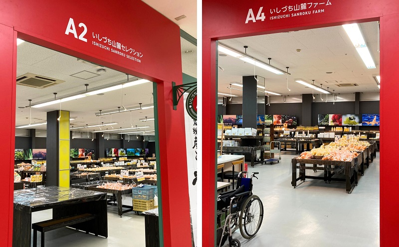 【30箱限定】愛媛県産 紅まどんな「優品」JA正規品 約2.7kg 約10個～15個 12月～順次発送〈いしづち山麓マルシェ 柑橘 甘い 高級 極上 贈り物 ギフト 直送 数量限定30箱 正規みかん 愛果28号〉