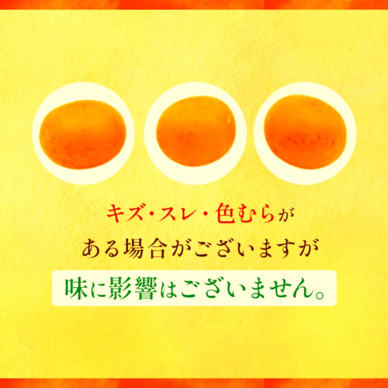 愛媛県産 紅プリンセス (愛果48号) L～3L サイズ 2.5kg バラ詰め ご家庭用 (申込は2/28まで 2025年3月から発送予定)【 JA正規品 みかん あいか 】