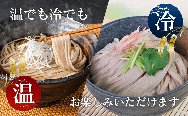 もち麦のうどん(200g×20袋)40食分【愛媛県産もち麦 練り込み 常温 長期保存可 詰合せ 食物繊維 もちもち 食感 冷 温 おすすめ】