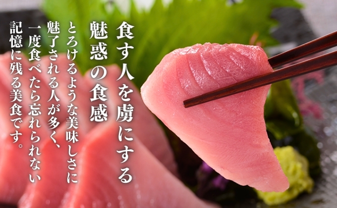 愛媛県産養殖「媛スマ」