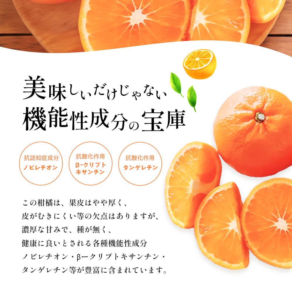 農6みかん「とべ農六柑」希少な品種の柑橘（かんきつ中間母本農6号）5kg 柑橘 種類 甘い 品種 おすすめ 愛媛 キングマンダリン 旬にお届け 果物 種無し 濃厚 カットフルーツ 美味しい フルーツ