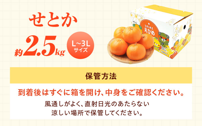 せとか L-3Lサイズ 約2.5kg【2月中旬から3月中旬まで順次発送】 / フルーツ 果物 蜜柑 ミカン オレンジ 小玉 甘い 先行予約 約 3kg 愛媛 / 愛媛県砥部町/株式会社フジ・アグリフーズ [BJBI006]