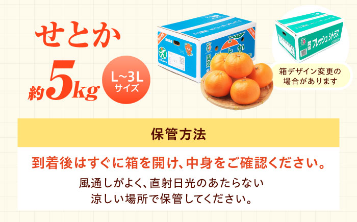 せとか L-3Lサイズ 約5kg 【2月中旬から3月中旬まで順次発送】 / フルーツ 果物 蜜柑 ミカン オレンジ 甘い 先行予約 5kg 愛媛 / 愛媛県砥部町/株式会社フジ・アグリフーズ [BJBI007]