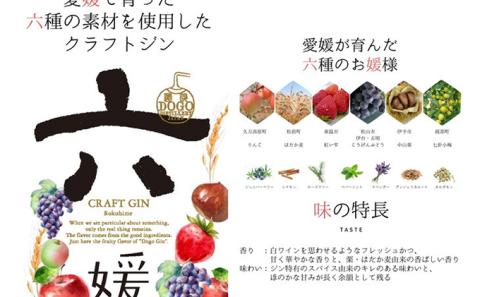 水口酒造 道後ジン「六媛」500ml　クラフトジン スピリッツ 愛媛