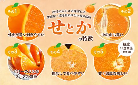 【数量限定　先行予約】せとか（青秀）3kg 3L～L JA正規品 2026年1月～順次発送＜旬 甘い みかん 蜜柑 柑橘 かんきつ 高級 ギフト 愛媛県 農協 JA直送 フルーツ 果物 くだもの スイーツ＞