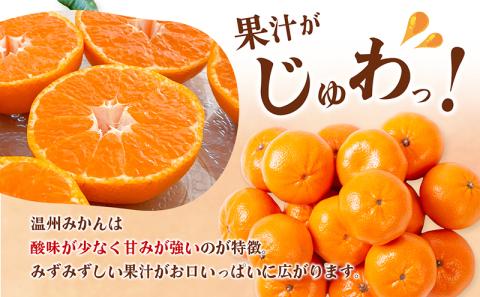 愛媛県産JA正規品 温州みかん【優】約10Kg L～Sサイズ（2024年11月～順次発送）【旬 甘い みかん 蜜柑 柑橘 かんきつ 高級 先行予約】