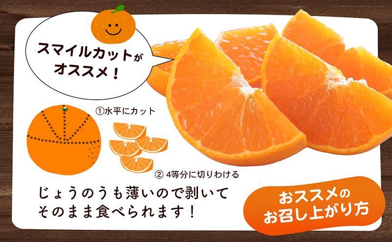 【数量限定 先行予約】愛媛県産せとか（ハウス）約2.7kg[50R0846] 【高島屋選定品】L～３Lサイズ(10～15玉) 1月下旬頃～順次発送＜ギフト 高級 甘い みかん    フルーツ＞ [No.5310-0042]