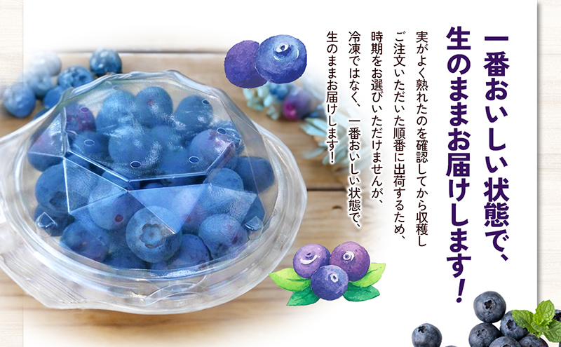 愛媛県砥部町産とれたて新鮮でお届け！生ブルーベリー110ｇ×10パック【期間限定～7/10まで】 冷蔵 甘い アントシアニン デザート フルーツ ヨーグルト スムージー 生 まるごと おやつ 今が旬