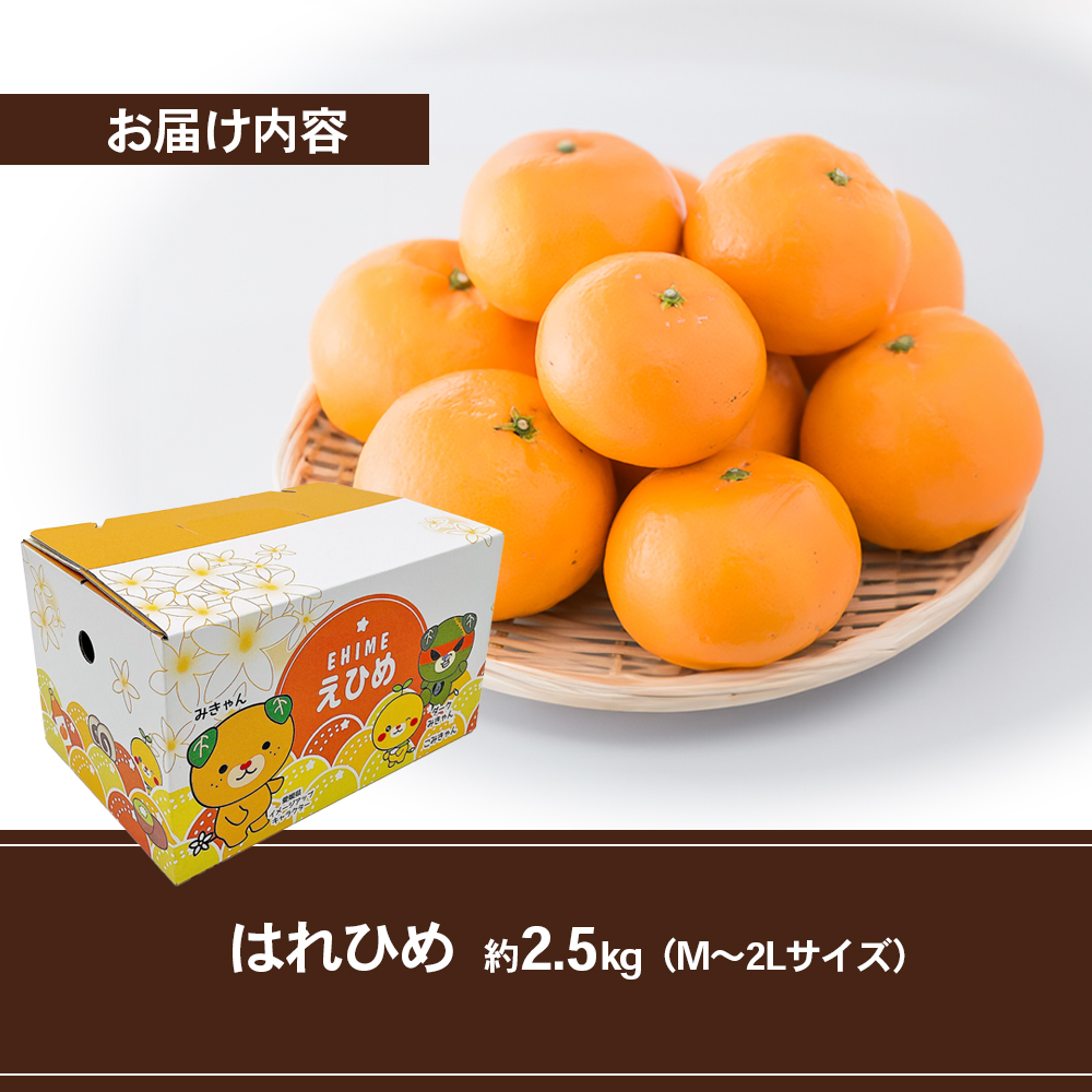 はれひめ M～2Lサイズ 約2.5kg 申込11月30日まで 12月上旬から順次発送【みかん ミカン オレンジ かんきつ 柑橘 フルーツ 果物 くだもの おやつ スイーツ 甘い ジューシー 愛媛県】