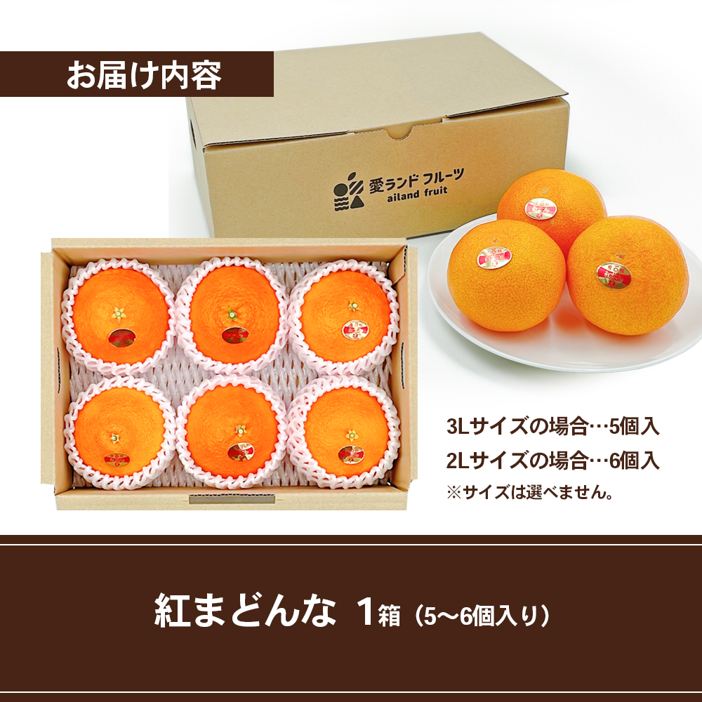 【箱数限定！申込12月7日まで】紅まどんな　1箱（5～6個入り）11月下旬から順次発送 ＜期間限定 数量限定 ミカン みかん 柑橘 高級品 正規品 紅マドンナ フルーツ 果物 スイーツ おやつ 愛媛県 贈答＞