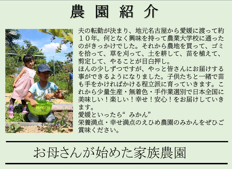 【新品種登場！数量限定　先行予約】訳あり愛果48号サイズ不揃い約3kg家庭用 3月中旬頃～順次発送〈産地直送 愛媛県 甘い みかん フルーツ〉