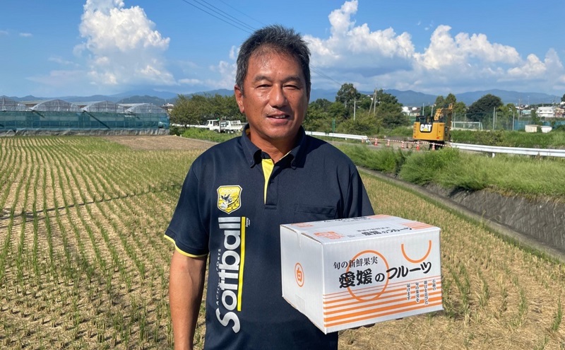 【数量限定！申込12月31日まで】訳アリ 愛媛の柑橘「せとか」 サイズ不揃い 約3kg 2026年2月から順次発送＜ハウス栽培   家庭用 砥部町 みかん 数量限定 先行予約 農園直送 箱＞