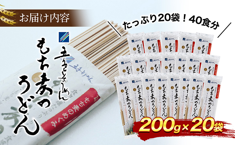 もち麦のうどん(200g×20袋)40食分【愛媛県産もち麦 練り込み 常温 長期保存可 詰合せ 食物繊維 もちもち 食感 冷 温 おすすめ】