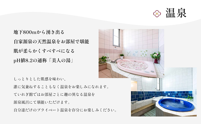 南道後温泉ホテルていれぎ館　1泊朝食付ペア宿泊券　特別客室「とべりて」ルーム限定 旅館 天然温泉 関西 四国 口コミ 朝ごはん 動物園 人気 砥部焼