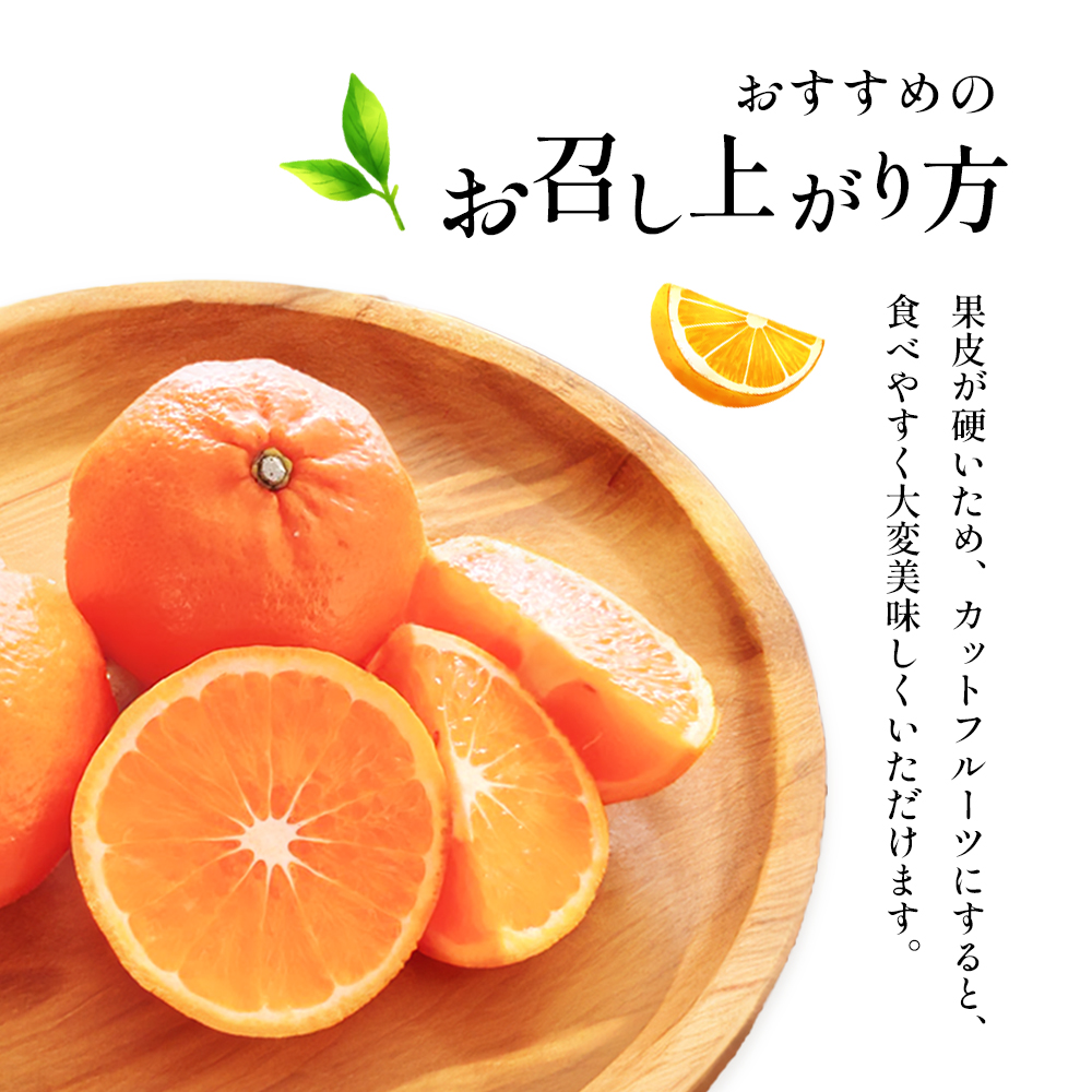 農6みかん「とべ農六柑」希少な品種の柑橘（かんきつ中間母本農6号）5kg 柑橘 種類 甘い 品種 おすすめ 愛媛 キングマンダリン 旬にお届け 果物 種無し 濃厚 カットフルーツ 美味しい フルーツ