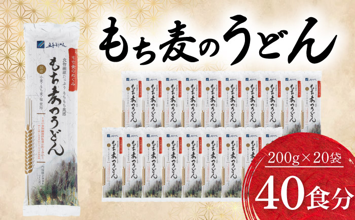 うどん もち麦のうどん(200g×20袋)40食分 / うどん 愛媛県産 もち麦 練り込み 常温 長期保存可 詰合せ 食物繊維 もちもち 食感 冷うどん 温うどん / 愛媛県砥部町/五色そうめん株式会社 [BJAY001]