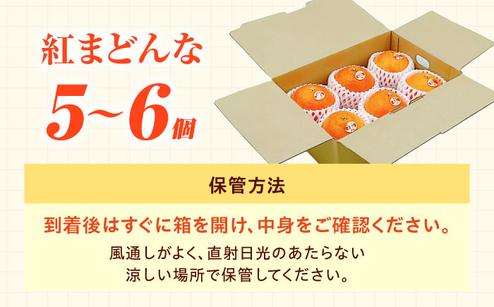 紅まどんな 1箱(5-6個入り)【11月中旬から12月下旬まで順次発送】/ フルーツ 果物 蜜柑 ミカン オレンジ 小玉 甘い 先行予約 箱 愛媛 / 愛媛県砥部町/株式会社フジ・アグリフーズ [BJBI003]