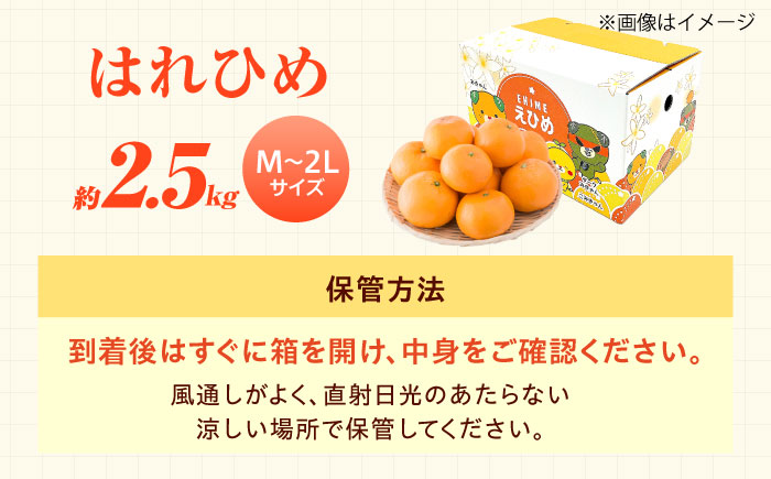 はれひめ 約2.5kg M-2Lサイズ【12月上旬から翌年1月上旬まで順次発送】 / フルーツ 果物 蜜柑 ミカン オレンジ 甘い 先行予約 約 3kg 愛媛 / 愛媛県砥部町/株式会社フジ・アグリフーズ [BJBI004]