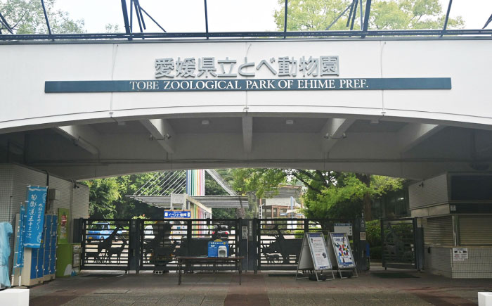 入場券 とべ動物園「年間パスポート」 1枚 / 動物園 チケット 年パス 入場券 優待券 招待券 施設利用券 / 愛媛県砥部町/愛媛県動物園協会(砥部町地域振興課) [BJCA002]
