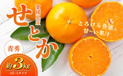 【数量限定　先行予約】せとか（青秀）3kg 3L～L JA正規品 2026年1月～順次発送＜旬 甘い みかん 蜜柑 柑橘 かんきつ 高級 ギフト 愛媛県 農協 JA直送 フルーツ 果物 くだもの スイーツ＞