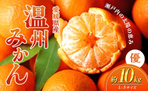 愛媛県産JA正規品 温州みかん【優】約10Kg L～Sサイズ（2024年11月～順次発送）【旬 甘い みかん 蜜柑 柑橘 かんきつ 高級 先行予約】