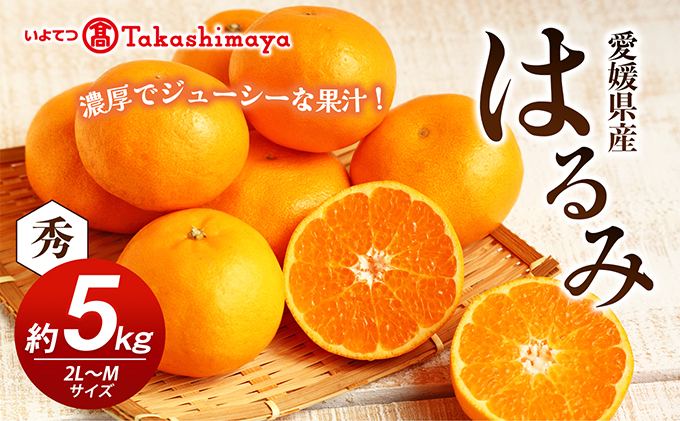 【数量限定 先行予約】愛媛県産 はるみ 約5kg[50R0824] 【高島屋選定品】秀M～２Lサイズ 1月下旬頃～順次発送＜ギフト 高級 甘い みかん フルーツ＞ [No.5310-0044]