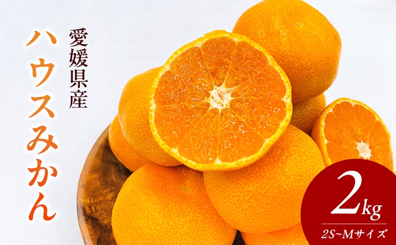 〈夏季限定！申込8/17まで〉温室育ちの温州みかん2.0kg(約15～25個)【甘い 夏のミカン オレンジ ハウスみかん 早生 冷やして 柑橘 フルーツ 果物 愛媛 砥部 JA 7月 8月 9月 ギフト 贈答