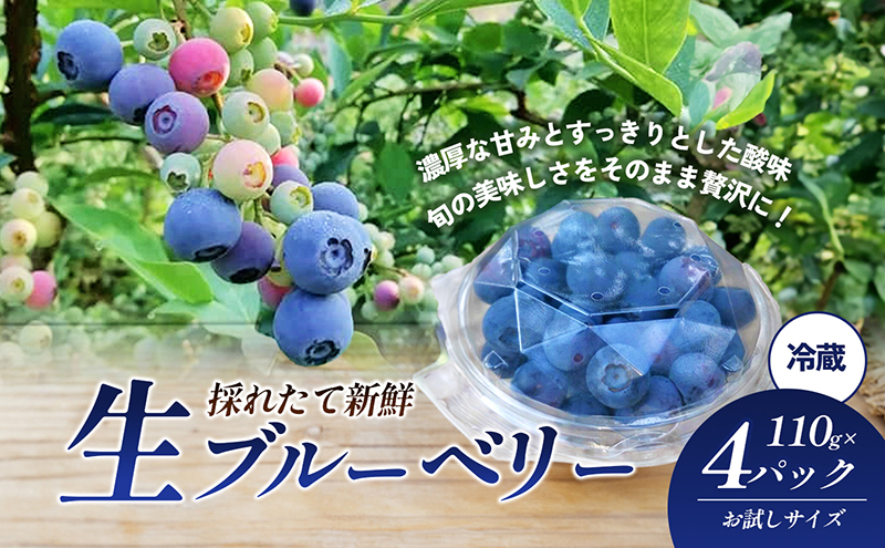 愛媛県砥部町産とれたて新鮮でお届け！生ブルーベリーおためしサイズ110ｇ×4パック　【期間限定～7/15まで】 冷蔵 甘い アントシアニン デザート フルーツ ヨーグルト スムージー 生 まるごと おやつ 今が旬