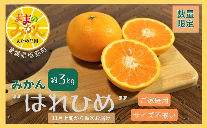 【数量限定　先行予約】訳ありはれひめサイズ不揃い約3キロ家庭用 11月上旬頃～順次発送〈産地直送　愛媛県　甘い　みかん　フルーツ〉