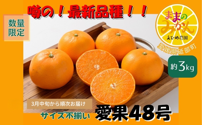 【新品種登場！数量限定　先行予約】訳あり愛果48号サイズ不揃い約3kg家庭用 3月中旬頃～順次発送〈産地直送 愛媛県 甘い みかん フルーツ〉