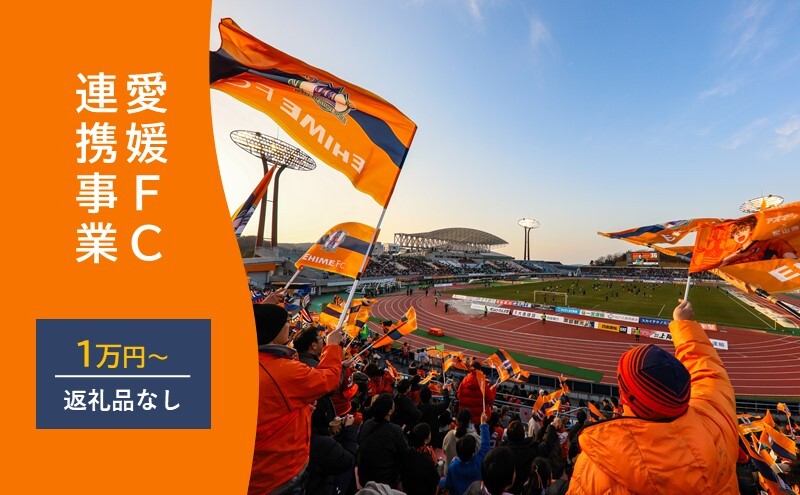 えひめまるごと活性化プロジェクト～プロスポーツと連携したまちづくり～【返礼品なし】愛媛FC連携事業 10,000円
