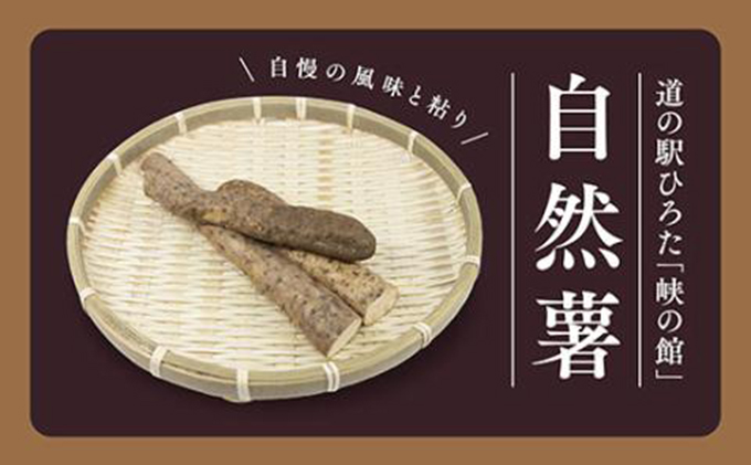 山のごちそう 自然薯（じねんじょ）