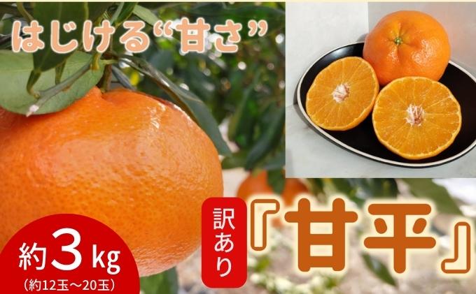 【数量限定　先行予約】訳あり甘平サイズ不揃い約3キロ家庭用　１月上旬頃～順次発送〈産地直送　愛媛県　甘い　みかん　フルーツ〉